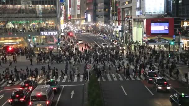 TOKIO - 18 de marzo: grabación en video del cruce principal de Shibuya en Tokio el 18 de marzo de 2013. Shibuya es una de las calles comerciales más concurridas de Tokio — Vídeos de Stock