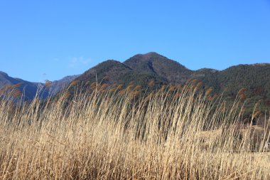 kawaguchiko, fuji Dağı'nın görünümü