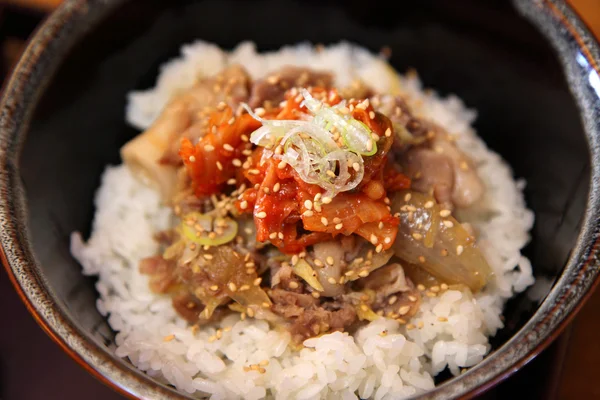 Rundvlees-bowl, Japans eten — Stockfoto