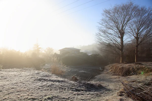 Winterlandschap — Stockfoto