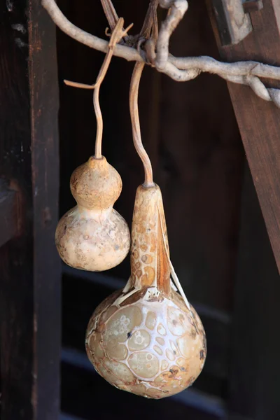 Calabash — Stock Photo, Image