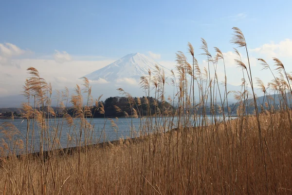 Vista do Monte Fuji do lago Kawaguchiko em março — Fotografia de Stock