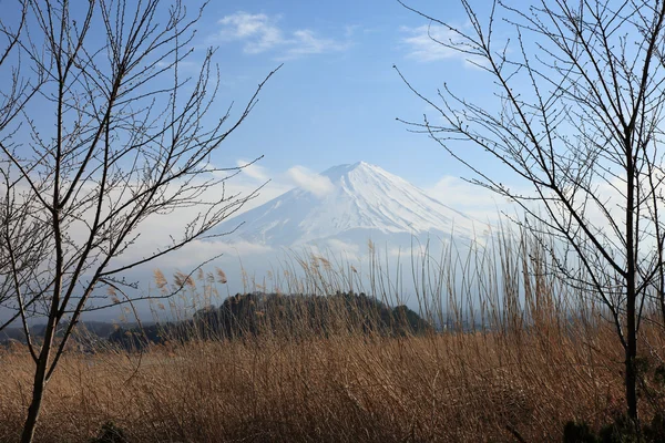 Pohled na horu Fudži od kawaguchiko jezeru v březnu — Stock fotografie