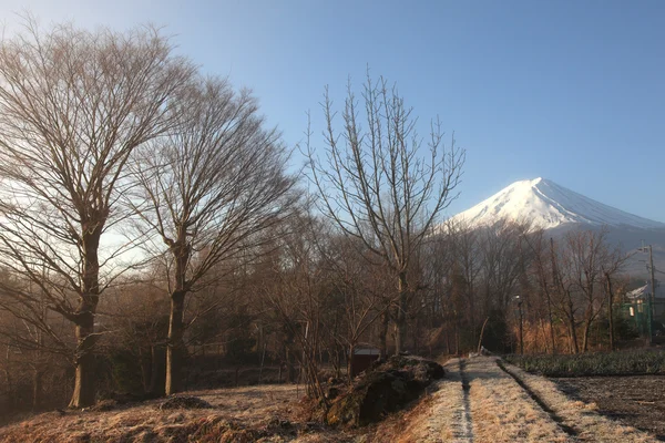 Pohled na horu fuji kawaguchiko v březnu — Stock fotografie