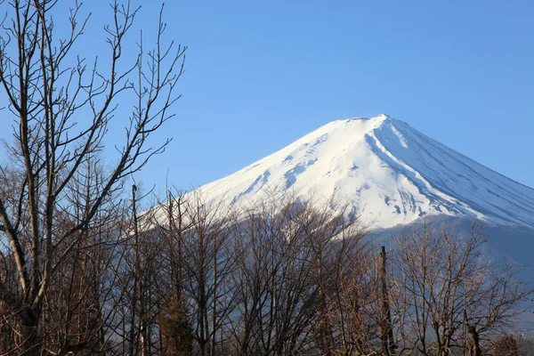 Kilátás a mount fuji kawaguchiko-március — Stock Fotó