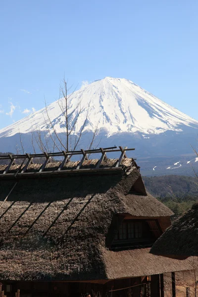 A Mount Fuji a Saiko Iyashino-Sato Nenba megtekintése — Stock Fotó
