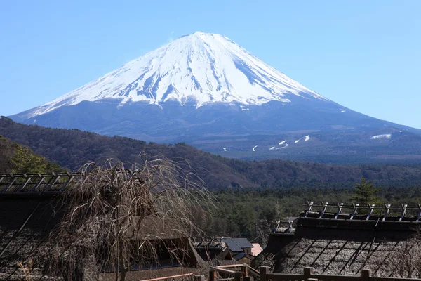 西湖いやしの里いからの富士山の眺め — ストック写真