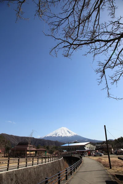 Pohled na horu Fudži Vasilij iyashino-sato nenba — Stock fotografie