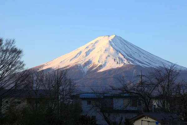 从西湖 iyashino 佐藤 nenba 富士山的视图 — 图库照片