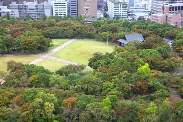 Meadow and park — Stock Photo, Image