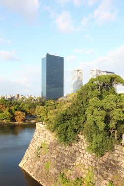 Osaka Cityscape