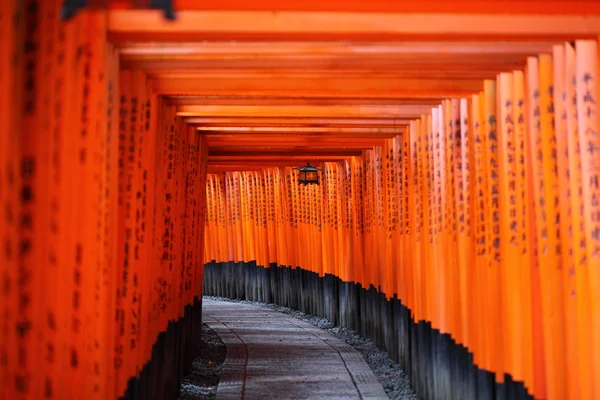 Berömda ljusa orange torii portarna till fushimi inari taisha helgedom i kyoto, japan — Stockfoto