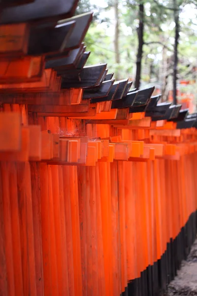 Słynny jasny pomarańczowy torii bramy fushimi inari taisha Przybytek w Kioto, Japonia — Zdjęcie stockowe