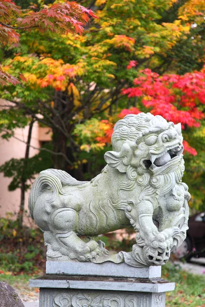 狛犬 （ライオン犬） 高山市, 日本 — ストック写真