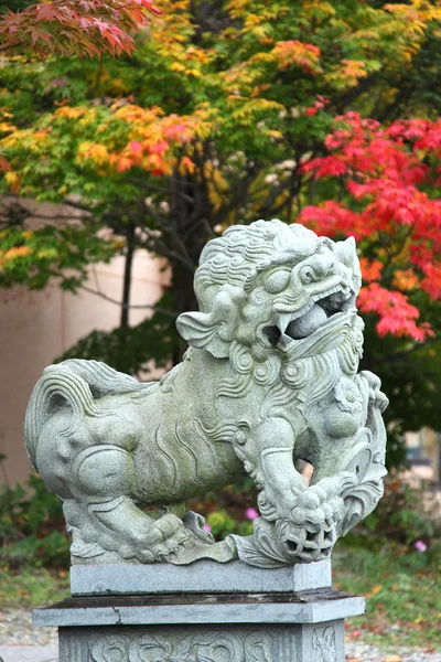Lew chiński (lew psy) w takayama, japan — Zdjęcie stockowe