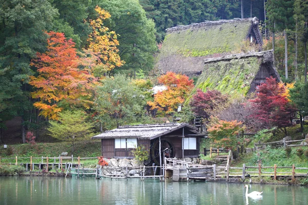 Podzimní barevné stromy v hida lidových vesnice takayama Japonsko — Stock fotografie