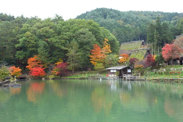 Autumn colored trees in Hida Folk Village takayama japan — Stock Photo, Image