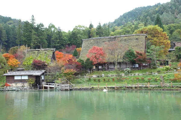 Herfst gekleurde bomen in hida folk dorp takayama japan — Stockfoto