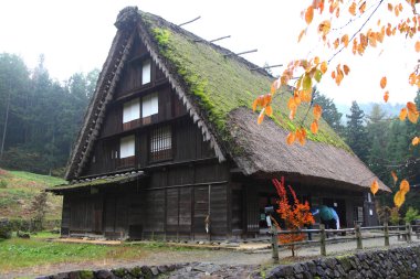 hida halk Köyü takayama Japonya'da sonbahar renkli ağaçlar