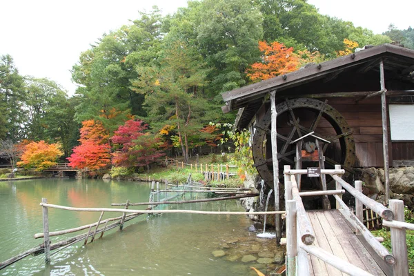 Herfst gekleurde bomen in hida folk dorp takayama japan — Stockfoto