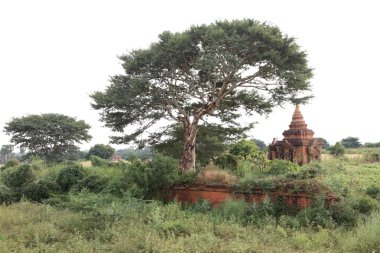 Antik Budist tapınakları