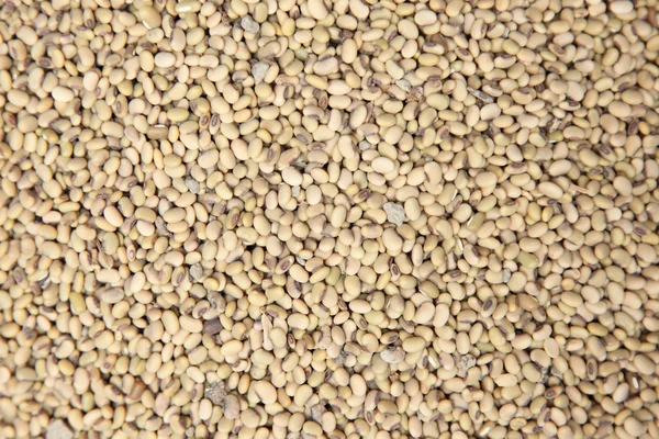 Soy bean mönster — Stockfoto