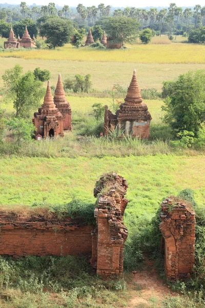 Prastaré buddhistické chrámy — Stockfoto