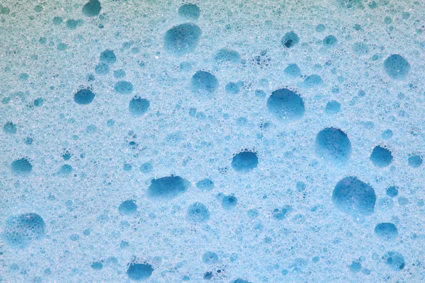 Blå svamp — Stockfoto