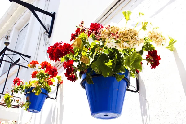 Pots de planteur de mur typique dans le village andalou — Photo