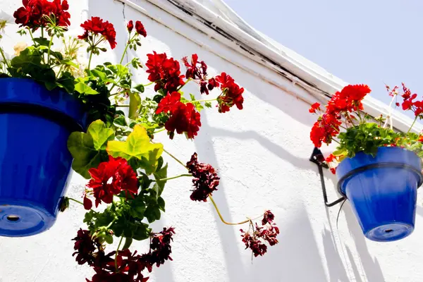 Typiska wall planter krukor i andalusisk by — Stockfoto