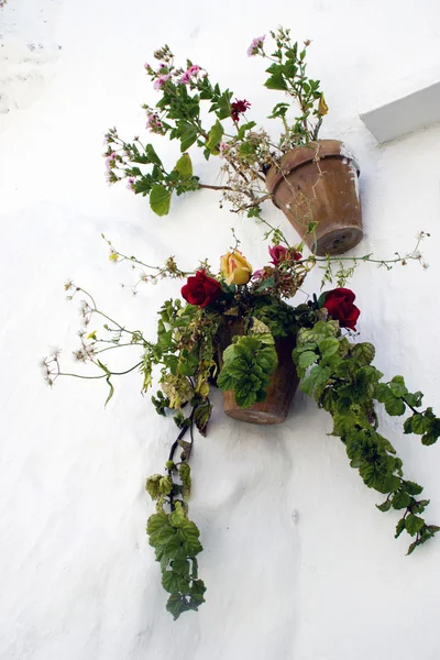 Typické zdi květináč květináče v andaluskou vesnici — Stock fotografie