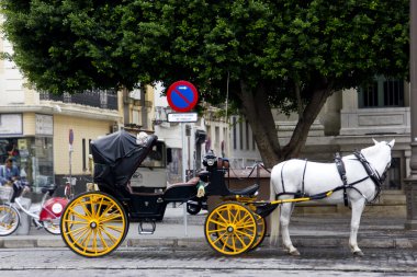 Seville bölgesinde bekleme at arabası