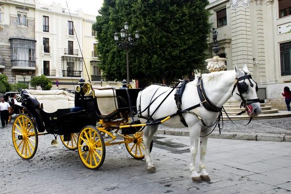 Seville bölgesinde bekleme at arabası
