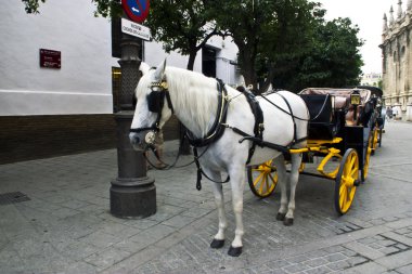 Кінні Карети вулиці на Севільї