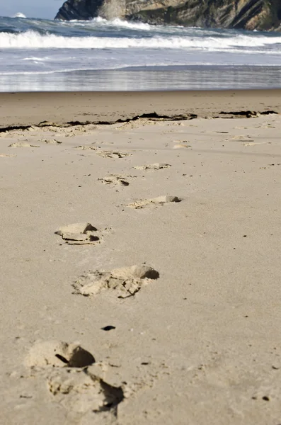 Empreinte sur le sable — Photo