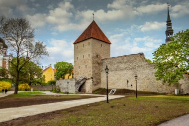 Tallinn. Eski şehir. Bakire Kulesi. UNESCO Dünya Mirasları Listesine dahil. Tallinn Şehir Müzesi şubesi. Estonya.