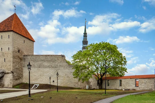 Tallinn Altstadt Jungenturm Aufnahme Die Unesco Liste Des Weltkulturerbes Zweigstelle — Stockfoto