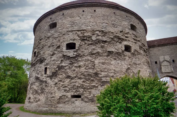Tallinn eski kent simgesi Great Coastal Gates ve Fat Margaret Tower, Estonya. Kule 