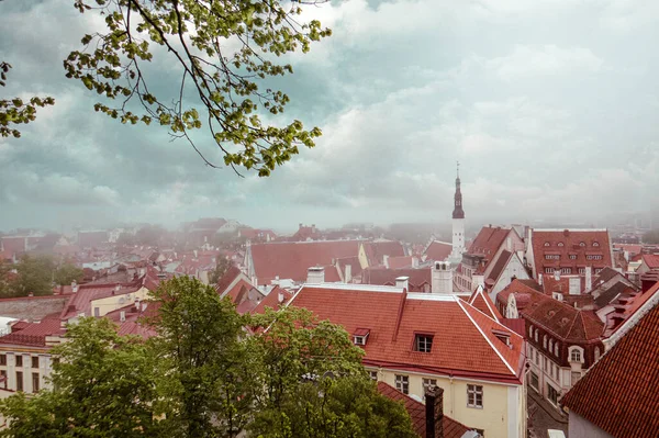 Tallinn. Patkul 'un gözlem güvertesinden Eski Şehir' in bazı manzaralarını görebilirsiniz. Buradan Tallinn Kalesi 'nin duvarlarını ve kulelerini görebilirsin..