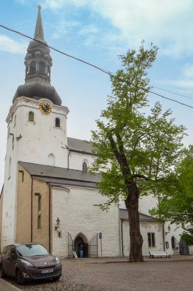 Domkyrkan Luthersk Katedral Belägen Tallinns Gamla Stadsdel Toom Kooli Street — Stockfoto