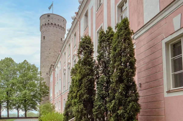 Reval Fortress Toompea Castle 중심부에 언덕에 요새이다 가치있는건 축물중 하나가 — 스톡 사진