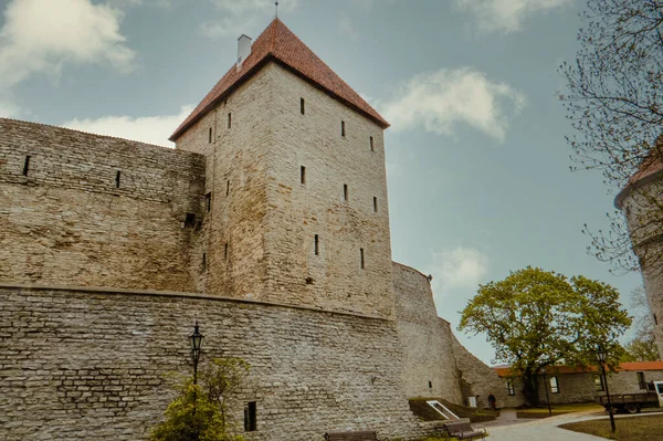 Leány Torony Unesco Világörökségi Listáján Szerepel Tallinn Városi Múzeum Fióktelepe — Stock Fotó