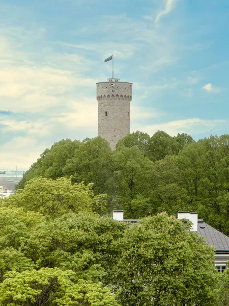 Tallinie Metrowa Wieża Widokowa Long German Swoją Nazwę Zawdzięcza Bohaterowi — Zdjęcie stockowe