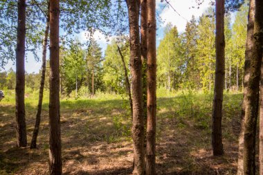Turku takımadaları. Bugün burası Avrupa 'nın en el değmemiş ve el değmemiş köşelerinden biri olarak kabul ediliyor..