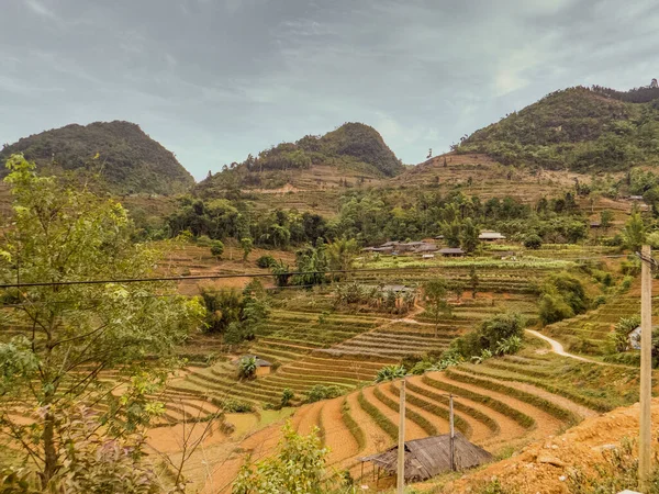 Vietnam. Sapa şehrinin yakınındaki teraslı arazilerden biri. Yen Bai, Lao Cai ve Ha Giang vilayetlerindeki eski tarlalar Tao da dahil olmak üzere yerel etnik azınlıklara mensup çalışkan ve yetenekli insanlar tarafından yüzyıllar boyunca kuruldu., 