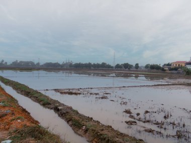 Vietnam. Vietnam topraklarının ayrılmaz bir parçası parlak yeşil pirinç tarlalarıdır. Bu mahsulün en iyi üretimi için tarlaları sel basmasının bileşimlerini burada ürettiler..