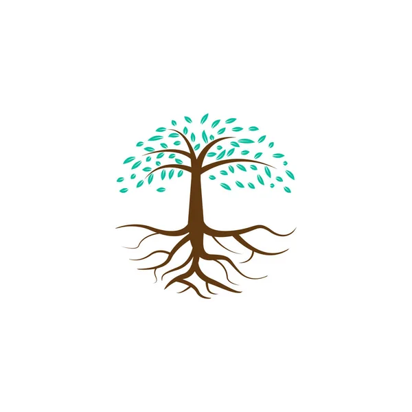 Abstrakter Baum Mit Wurzeln Logo Symbol Symbol Vektor Grafik Design — Stockvektor