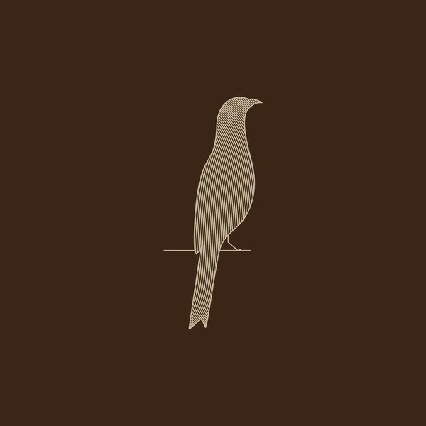 Плоская Птица Сокол Ветке Логотипа Дизайн Векторного Графического Символа Иконка — стоковый вектор