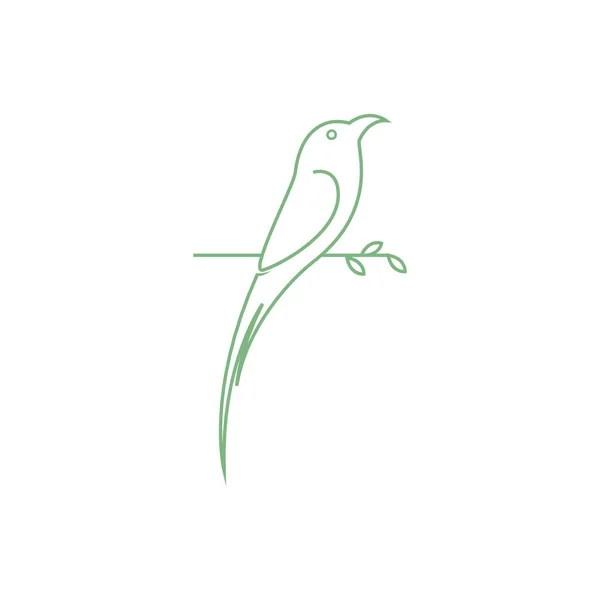 Line Little Bird Long Tail Logo Design Vector Graphic Symbol — Vetor de Stock