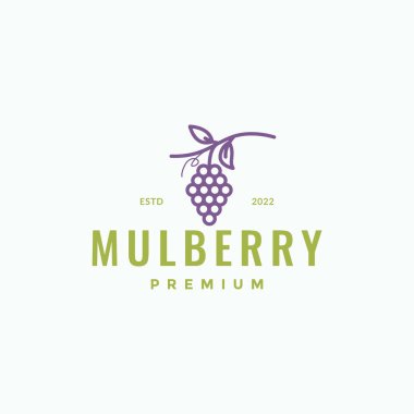fresh vintage fruit mulberry logo design